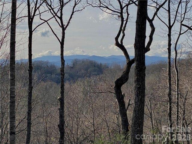 Land for sale in Hendersonville, North Carolina