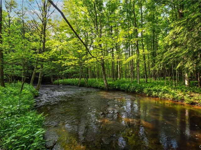 Land for sale in Mannsville, New York