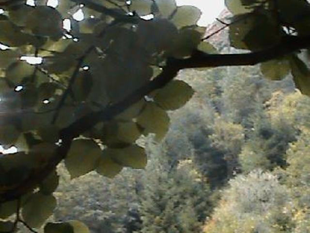 Teren vânzări în Romani