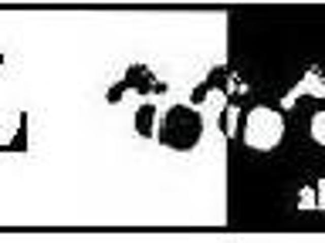 Teren vânzări în Romani