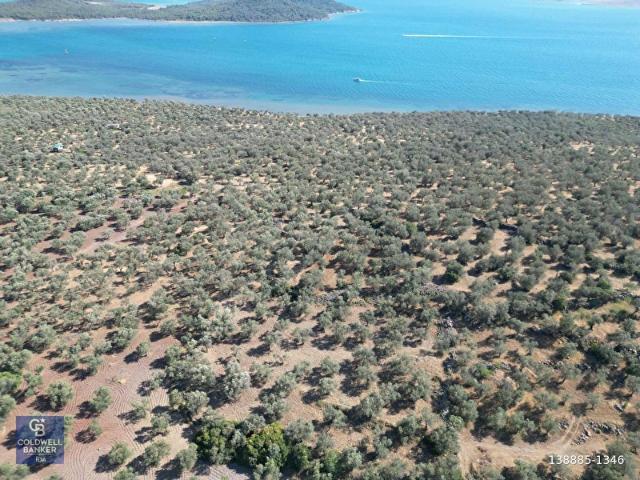 Ayvalik, Balikesir içerisinde satılık mülk