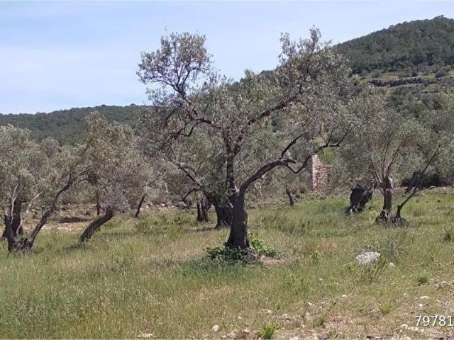 Namık Kemal Mahallesi, Ayvalık içerisinde satılık mülk