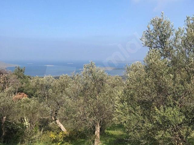 Ayvalik, Balikesir içerisinde satılık mülk