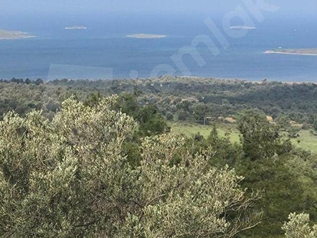 Ayvalik, Balikesir içerisinde satılık mülk