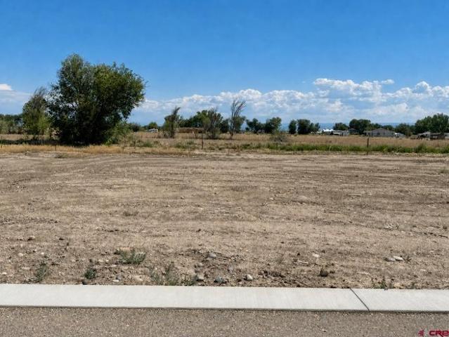 Land for sale in Delta, Colorado