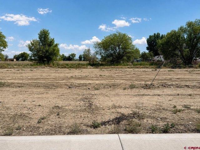 Land for sale in Delta, Colorado