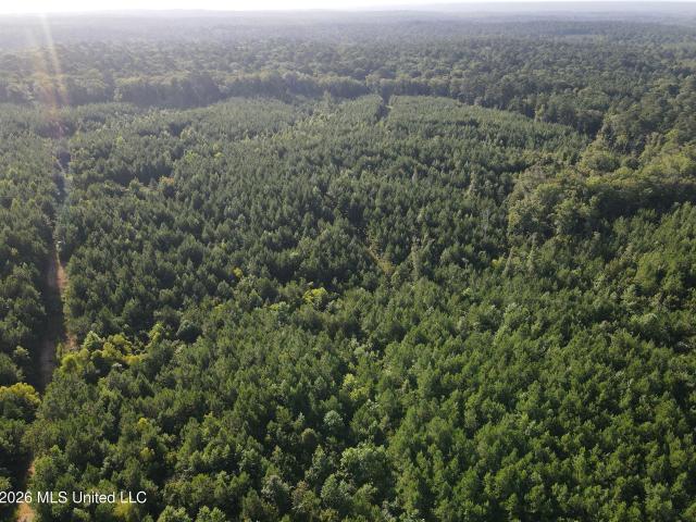 Land for sale in Mississippi