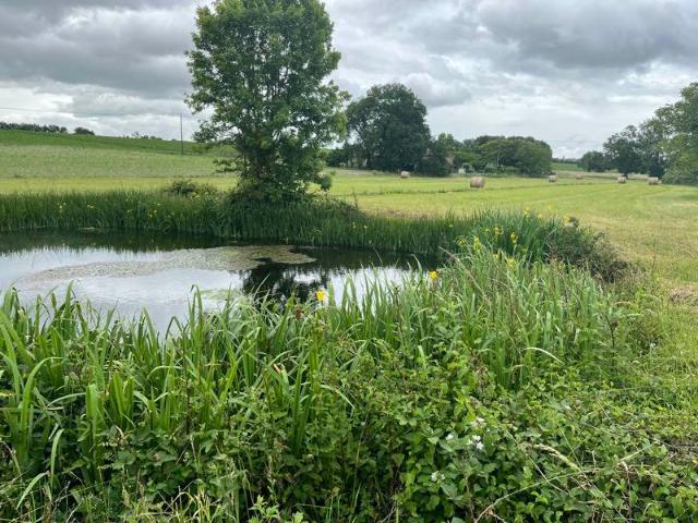 Maison vente à France métropolitaine, Curac