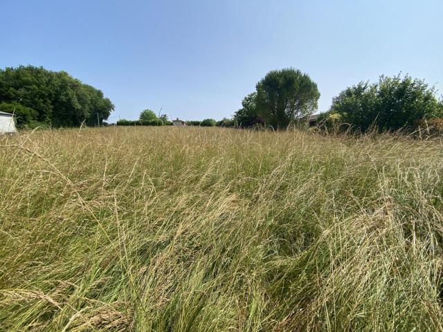 Terrain vente à France métropolitaine, Curac