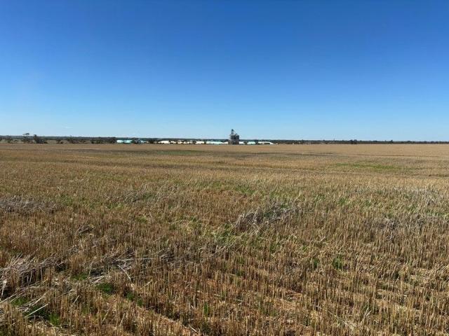 Cottage for sale in Woorinen South, Victoria