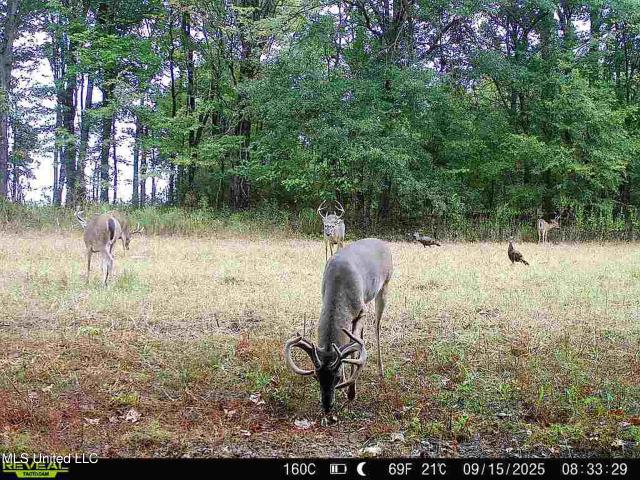 Land for sale in Batesville, Mississippi
