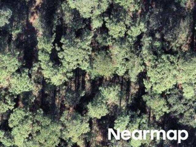 Land for sale in Lake Placid, Florida