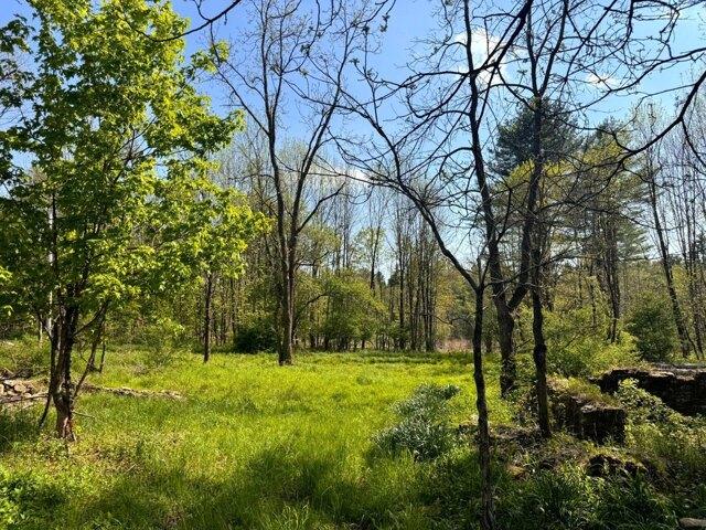 Land for sale in Oneida, New York