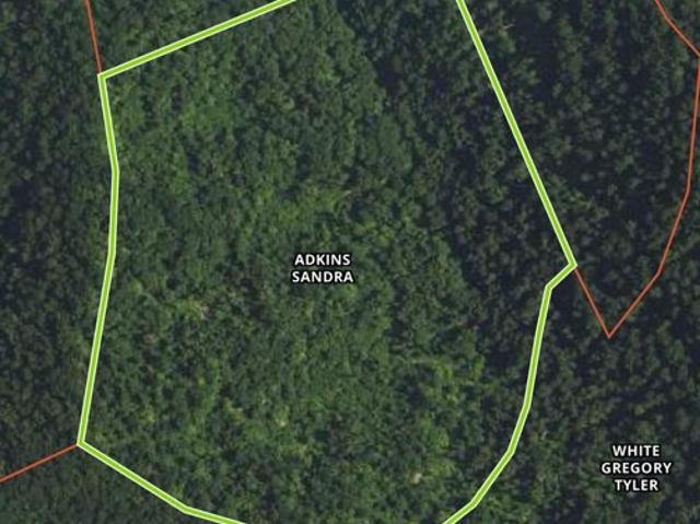 Land for sale in Pikeville