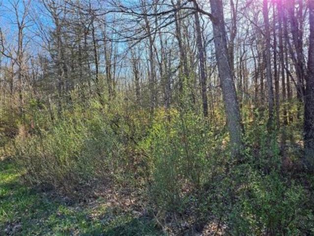 Land for sale in Callicoon, New York
