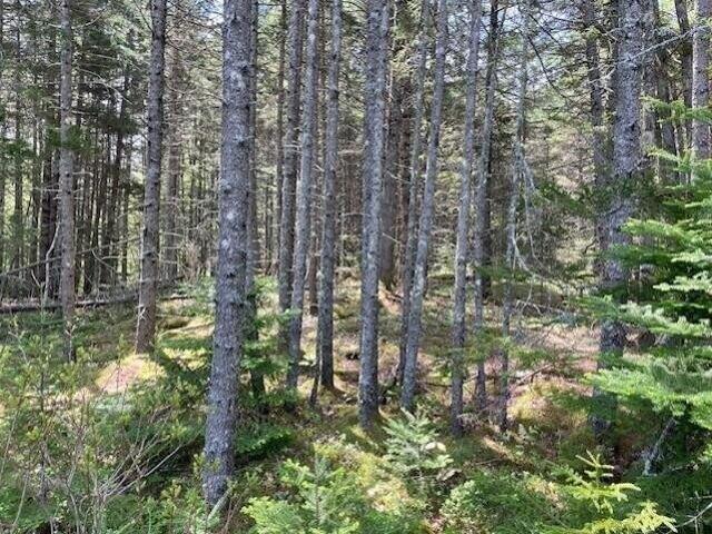 Land for sale in Cushing, Maine