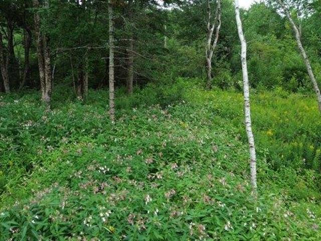 Land for sale in Cushing, Maine