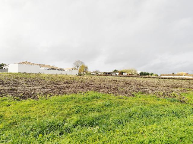 Terrain vente à Lesparre-Médoc, Cussac-fort-médoc