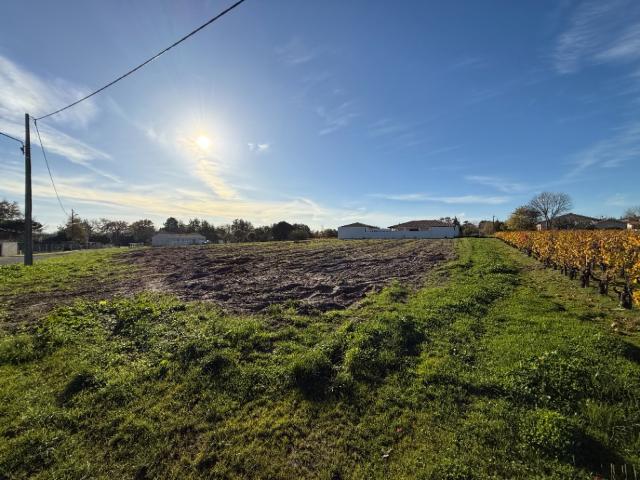 Terrain vente à Lesparre-Médoc, Cussac-fort-médoc