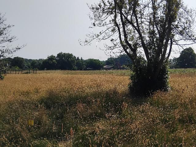 Terrain vente à Lesparre-Médoc, Cussac-fort-médoc