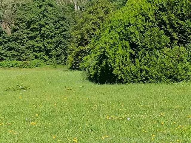 Terrain vente à Vichy, Cusset