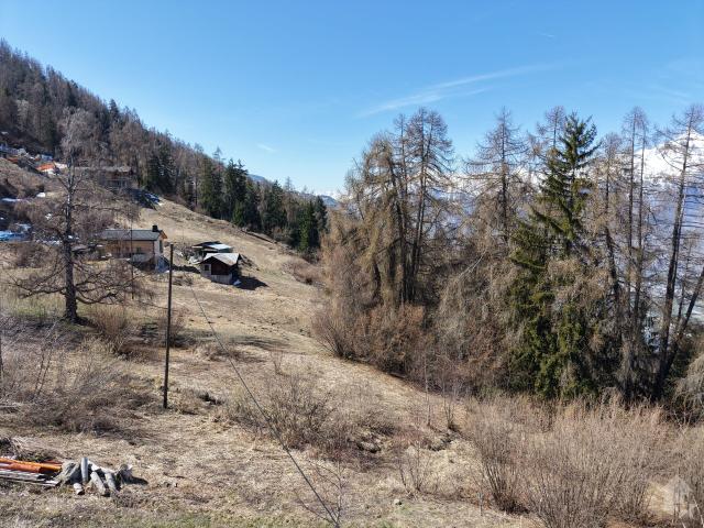 Immobilie kaufen in Les Mayens-de-Sion, Wallis