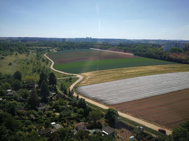 Apartment mieten in Mainz, Rheinland-Pfalz