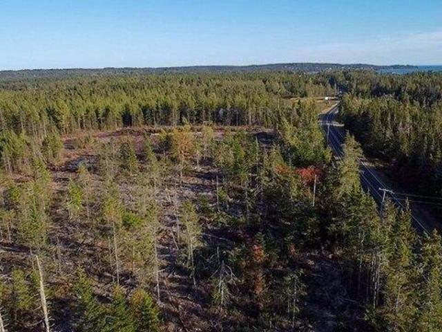 Land for sale in Cutler, Maine