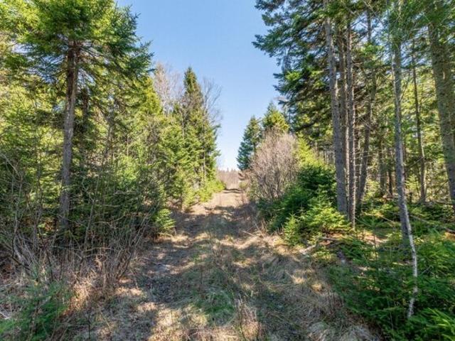 Land for sale in Machiasport, Maine