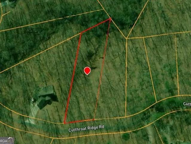 Land for sale in Pickens, Georgia