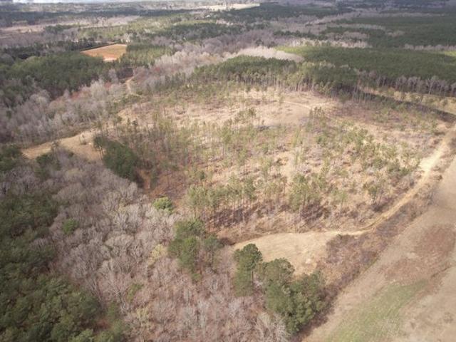 Land for sale in Choctaw, Mississippi