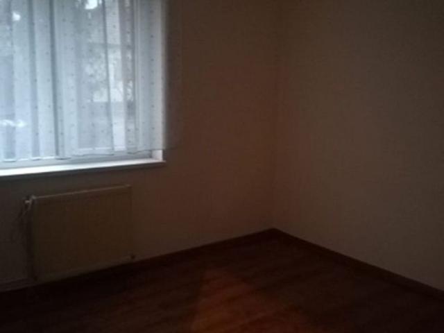 Apartament închirieri în Baia Mare, Maramureș