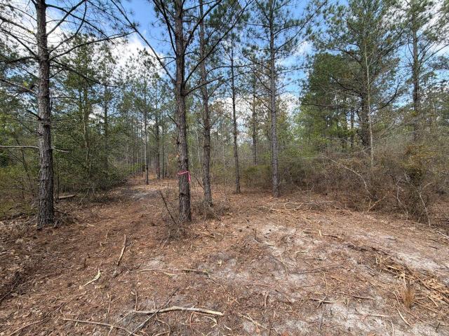 Land for sale in Aiken, South Carolina