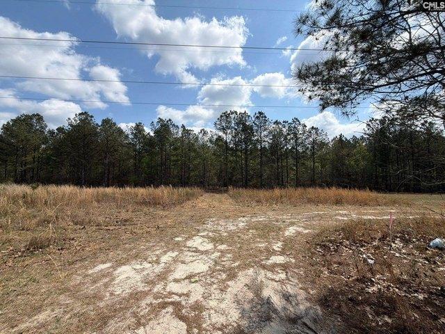 Land for sale in Ridge Spring, South Carolina