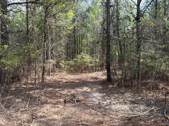 Land for sale in Aiken, South Carolina