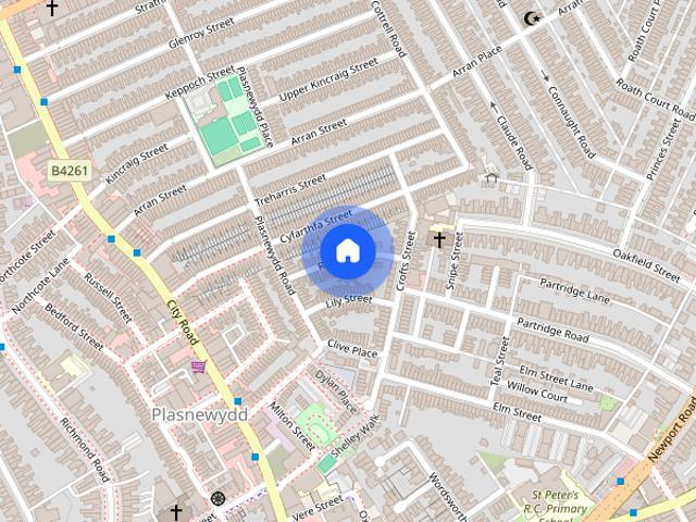 House for rent in Plasnewydd, Cardiff