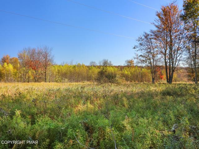 Land for sale in Hamlin, Pennsylvania