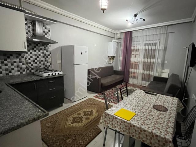 Şile, İstanbul içerisinde kiralık mülk
