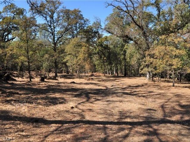 Land for sale in Butte, California