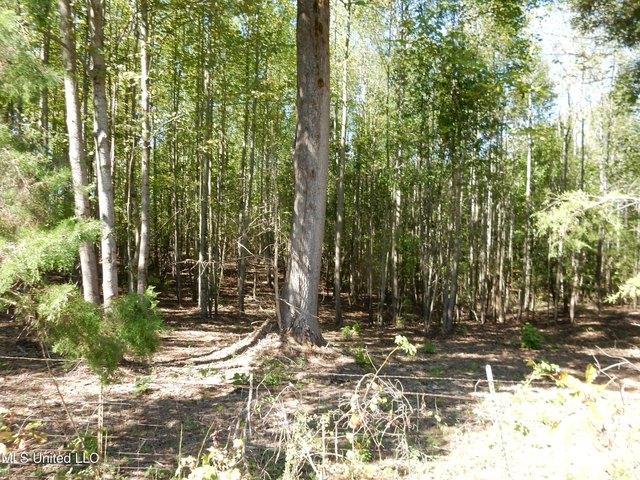 Land for sale in Tate, Mississippi