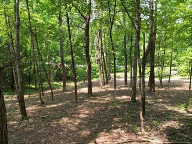 Land for sale in Spring City, East Tennessee