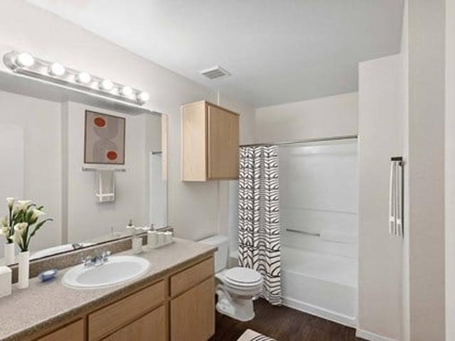 Apartment for rent in Cedar Park