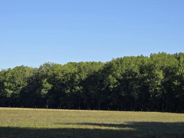 Land for sale in Ark