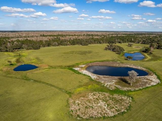Land for sale in Sorrento, Florida