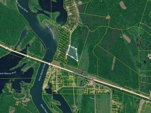 Land for sale in Akron, Hale County