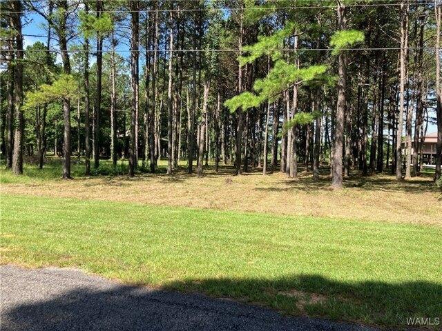 Land for sale in Akron