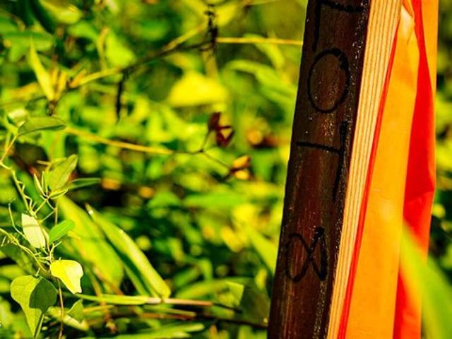 Land for sale in Brooksville, Mississippi