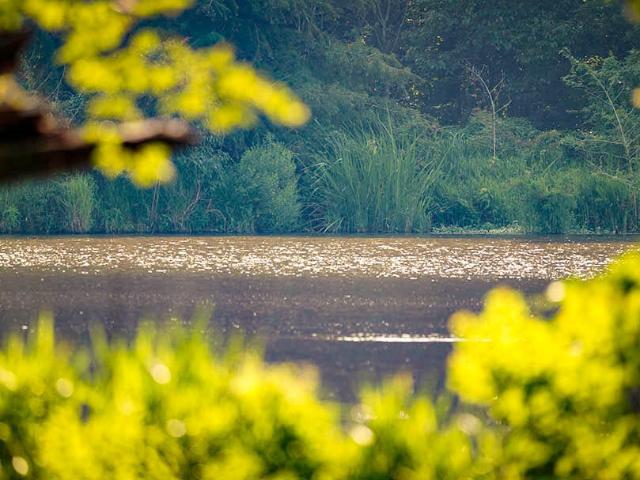 Land for sale in Brooksville, Mississippi