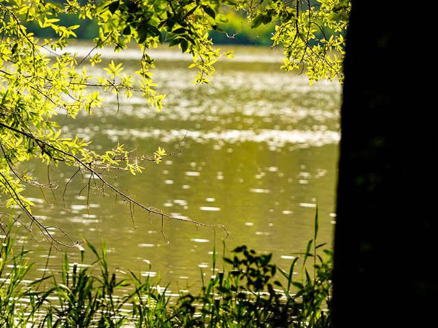 Land for sale in Brooksville, Mississippi