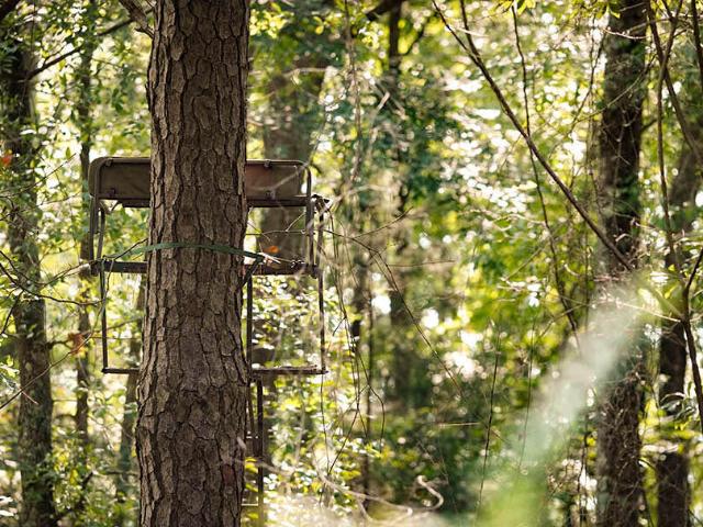 Land for sale in Alabama